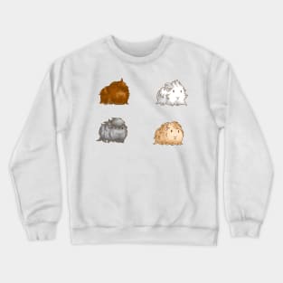 Long Haired Guinea Pigs Set of 4 Crewneck Sweatshirt